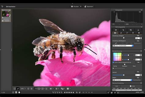 digital photo professional 4 download|canon photo professional download deutsch.
